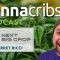 Cannabis Cultivation & Processing Consulting: Jarret Ricci @ Next Big Crop (Canna Cribs Podcast E8)