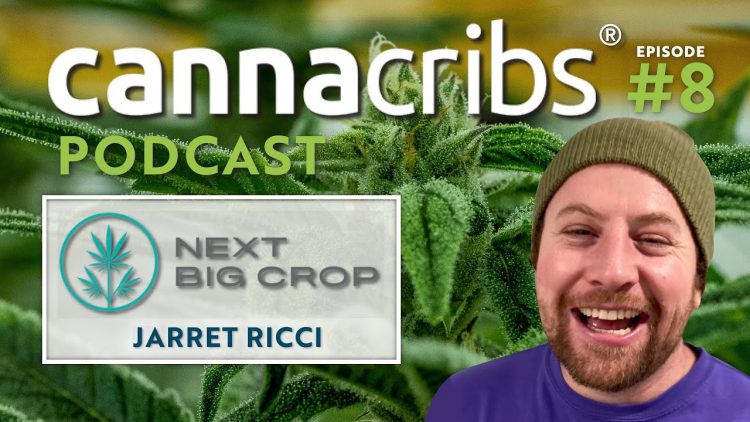 Cannabis Cultivation & Processing Consulting: Jarret Ricci @ Next Big Crop (Canna Cribs Podcast E8)