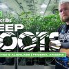 Connected Cannabis Co & Alien Labs: Arizona Prop 207 Expansion Cannabis Farm (Deep Roots)