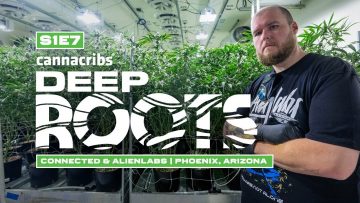 Connected Cannabis Co & Alien Labs: Arizona Prop 207 Expansion Cannabis Farm (Deep Roots)