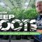 Connected Cannabis Co & Alien Labs: Arizona Prop 207 Expansion Cannabis Farm (Deep Roots)