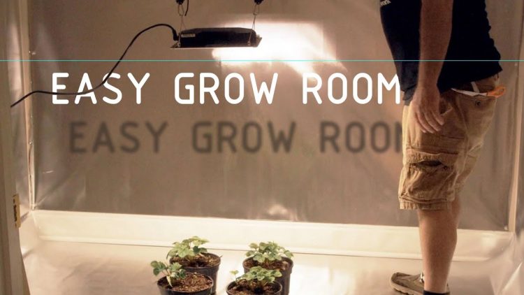 Easy Affordable Grow Room Setup With Vivosun: Cannabasics #130