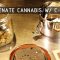 How To Rejuvenate Cannabis with C-Vault and Boveda: Cannabasics #128