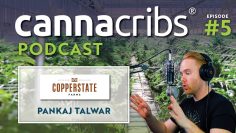 Inside Look of 40 Acre Arizona Cannabis Greenhouse Copperstate Farms w/ CEO Pankaj Talwar (Podcast)