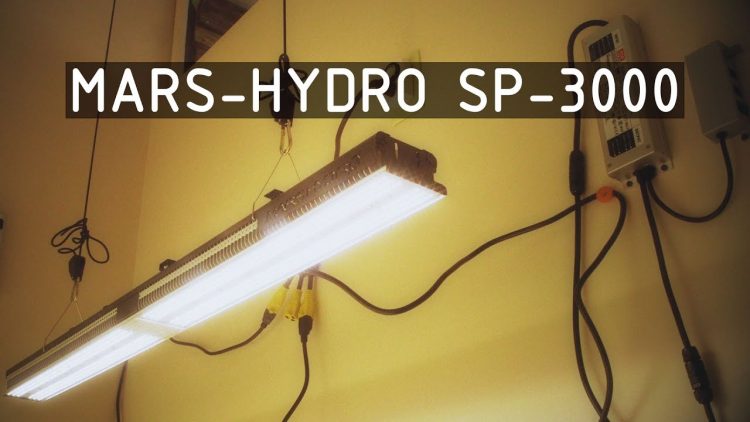 Mars-Hydro SP-3000 LED Grow Light Product Spotlight