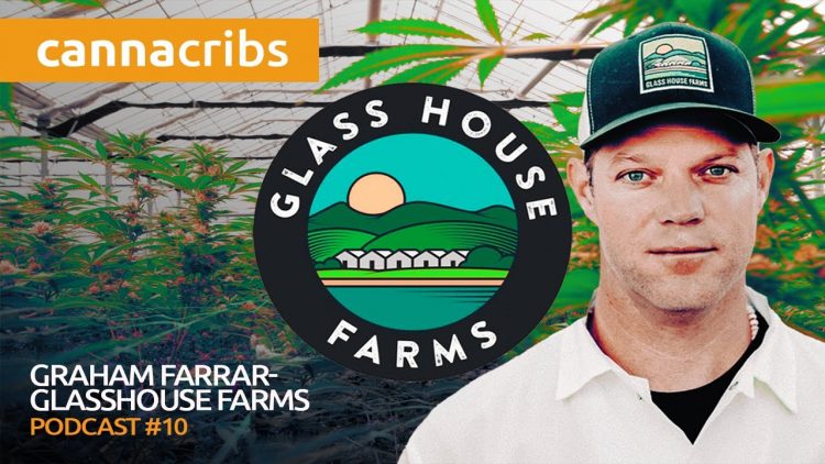 Scaling From 500 Clones A Week to 100k Clones a Month at GlassHouse Farms (Podcast Episode 10)