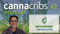 Sproutways: Cannabis Genetics Marketplace (Bodhi, Snowhigh, Kagyu) Podcast E7 w/ CEO Joe Sulistyo