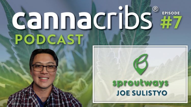 Sproutways: Cannabis Genetics Marketplace (Bodhi, Snowhigh, Kagyu) Podcast E7 w/ CEO Joe Sulistyo