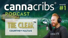 The Clear Cannabis Concentrates with Courtney Maltais (Canna Cribs Podcast: Episode 1)