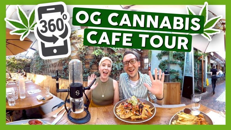 360 VR OG CANNABIS CAFE TOUR!