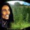 Bob Marley – Ganja Gun with lyrics