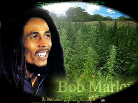 Bob Marley – Ganja Gun with lyrics