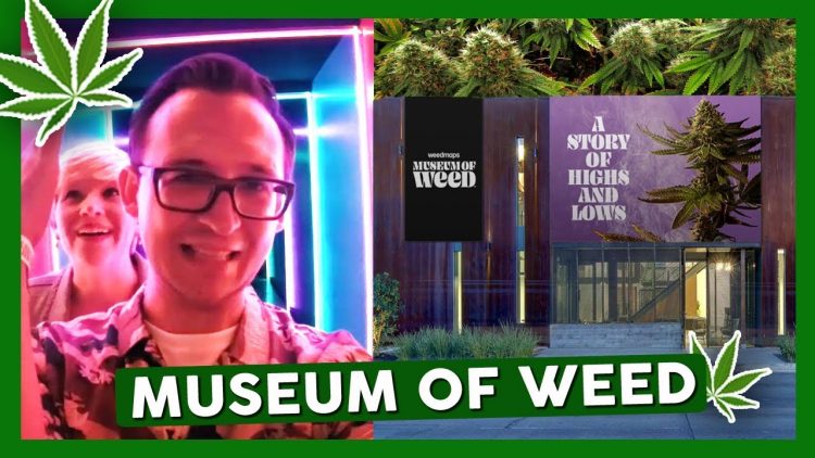 Inside the MUSEUM OF WEED by WeedMaps