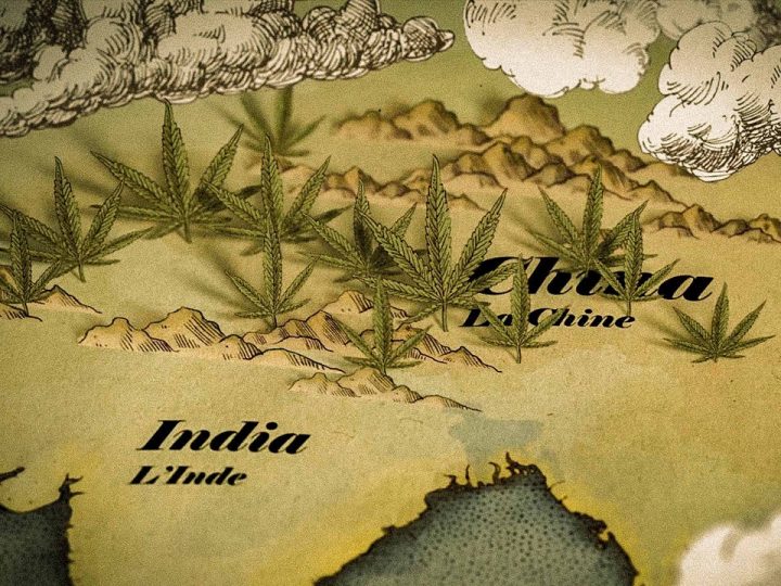 History of Cannabis | Explained | Bizarre Channel