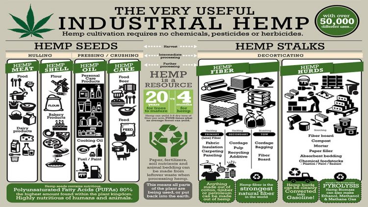 Industrial Hemp Solutions