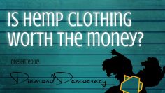 IS HEMP CLOTHING WORTH THE MONEY?