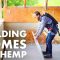 Building with Hemp – An Incredible Natural Insulation & Sustainable Material